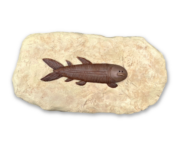 Fossil Friend - Sardine