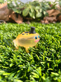 Poison Dart Frod