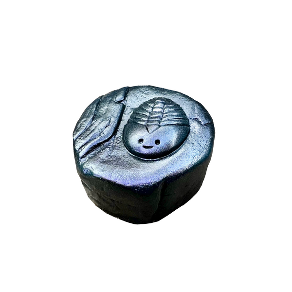 Fossil Friends - Trilobite (Obsidian)