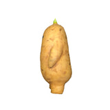Man-Potato
